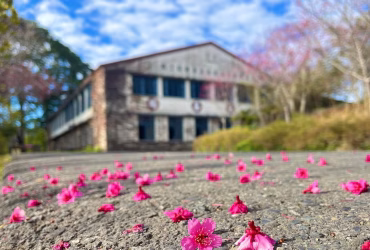 content_84345801-1b5a-4bfb-a5bf-5b97f2fba369